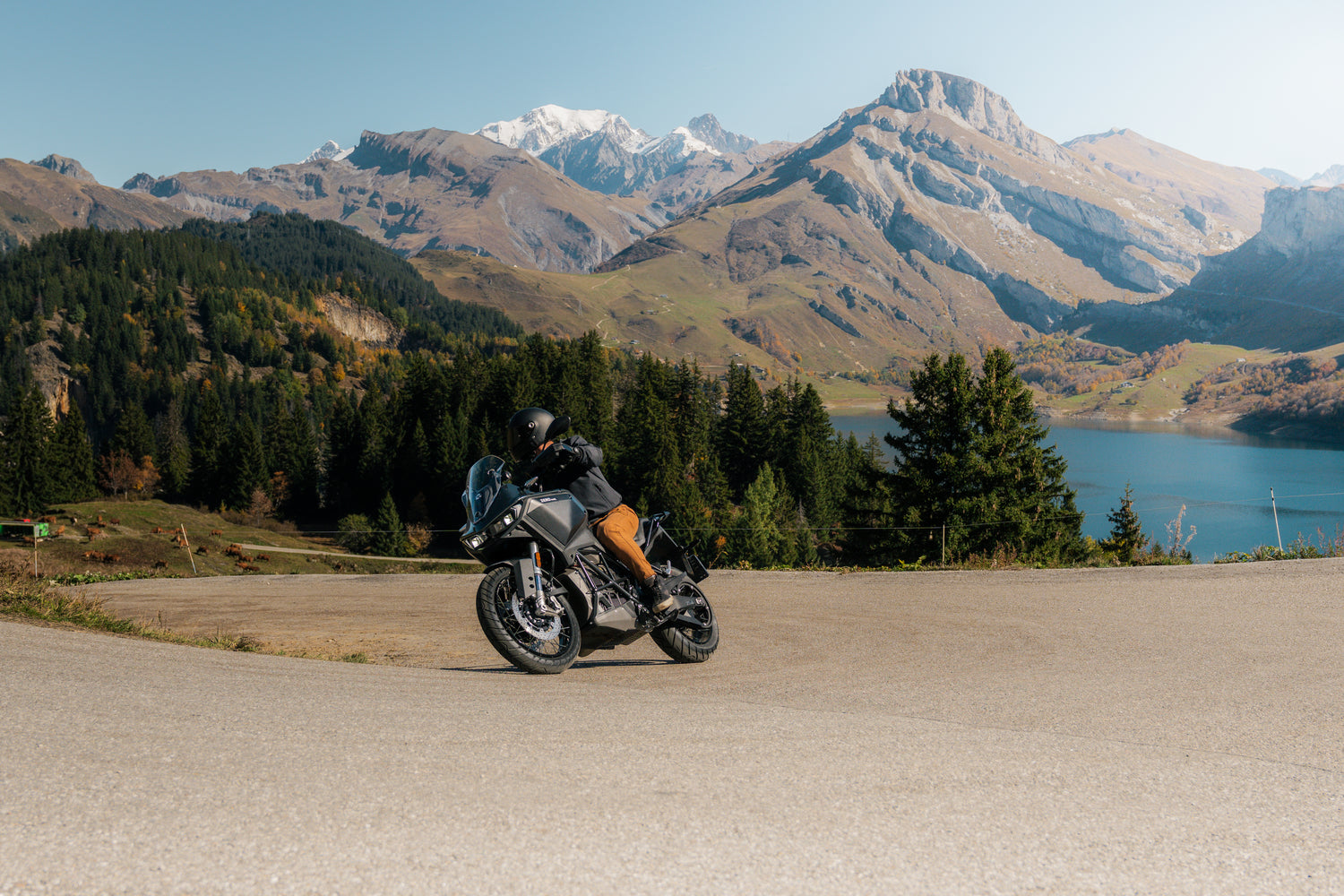 ZERO DSR/X 2026 - Asphalt